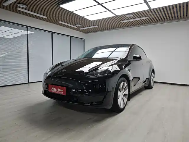 Tesla Model Y Model Y 2022 Rear-Wheel Drive Version — фото