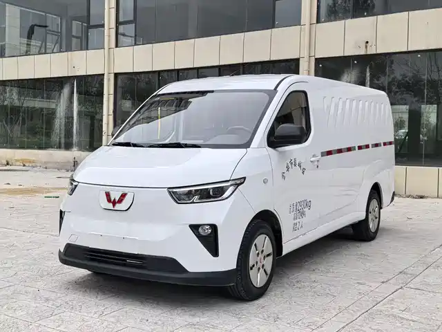 Wuling Motors Wuling Yangguang Wuling Yangguang 2024 Model 300km Comfortable Window-Sealed Version 60kw — фото