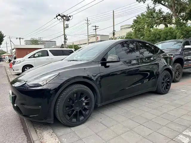 Tesla Model Y Model Y 2021 Standard Range Rear-Wheel Drive Version — фото