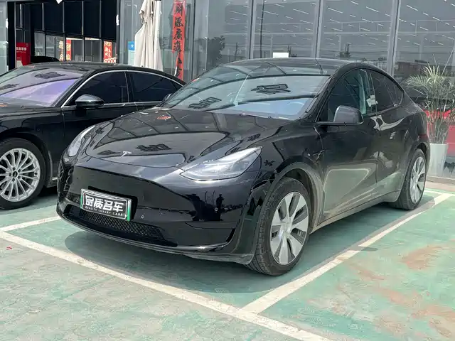 Tesla Model Y Model Y 2022 Rear-Wheel Drive Version — фото
