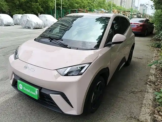 Byd Seagull Seagull 2024 Honor Edition 405km Flying Edition