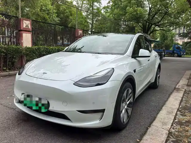 Tesla Model Y Model Y 2021 Standard Range Rear-Wheel Drive Version — фото