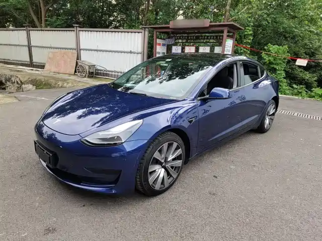 Tesla Model 3 Model 3 2022 Rear-Wheel Drive Version