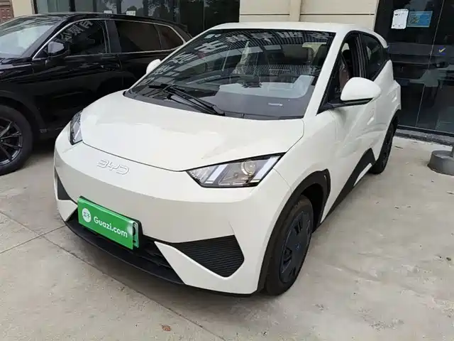 Byd Seagull Seagull 2025 Smart Driving Edition 305km Vitality Edition