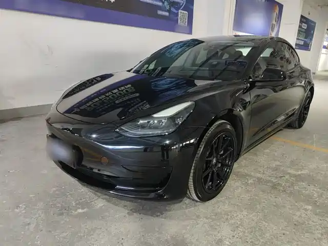 Tesla Model 3 Model 3 2021 Standard Range Rear Drive Upgraded Version 3d6 — фото