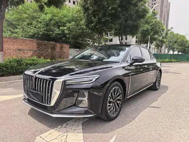 Red Flag Hongqi H5 Hongqi H5 2024 2.0t Automatic Zhilianqichang Edition