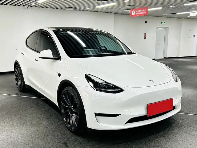 Tesla Model Y Model Y 2024 Performance High-Performance Version