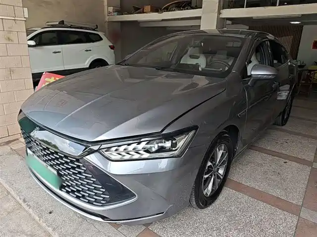 Byd Qin Plus Qin Plus 2024 Honor Edition Dm-I 55km Leading Type