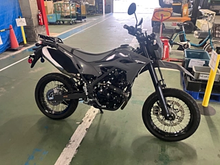 KAWASAKI KLX230SM — фото