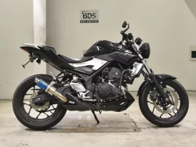 YAMAHA MT-25 — фото