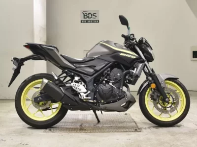 YAMAHA MT-25 — фото