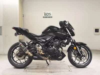 YAMAHA MT-25 — фото