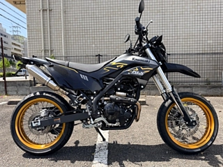 KAWASAKI KLX230SM — фото