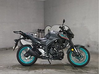 YAMAHA MT-25 — фото
