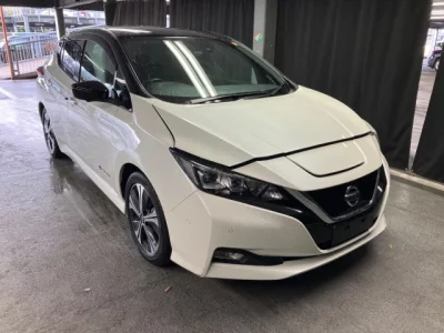 Nissan LEAF — фото