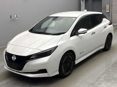 Nissan Leaf — фото