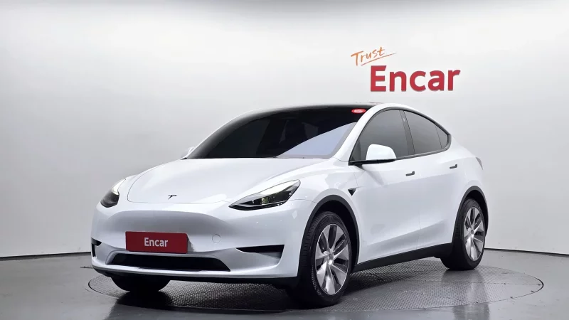 Tesla Model Y — фото