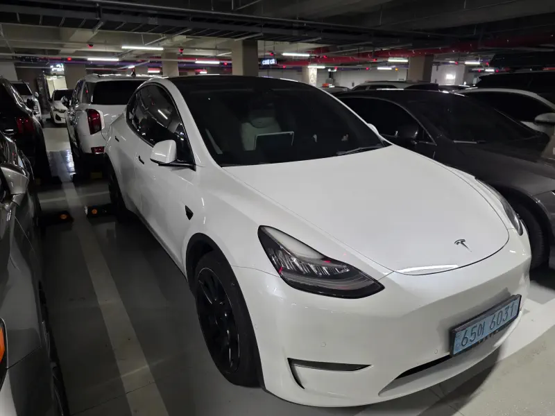 Tesla Model Y — фото 2