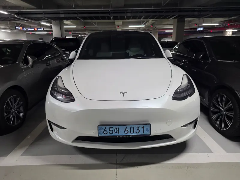 Tesla Model Y — фото