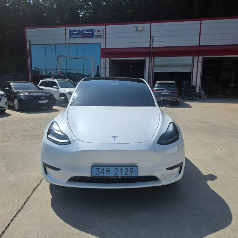 Tesla Model Y — фото