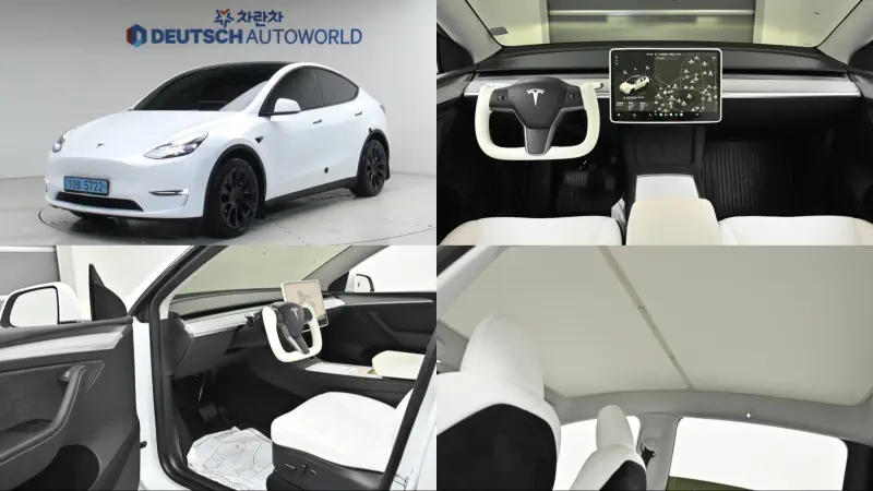 Tesla Model Y — фото