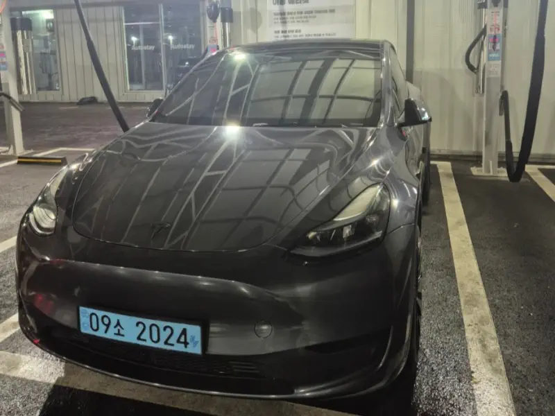 Tesla Model Y — фото