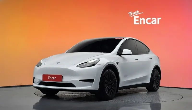 Tesla Model Y — фото