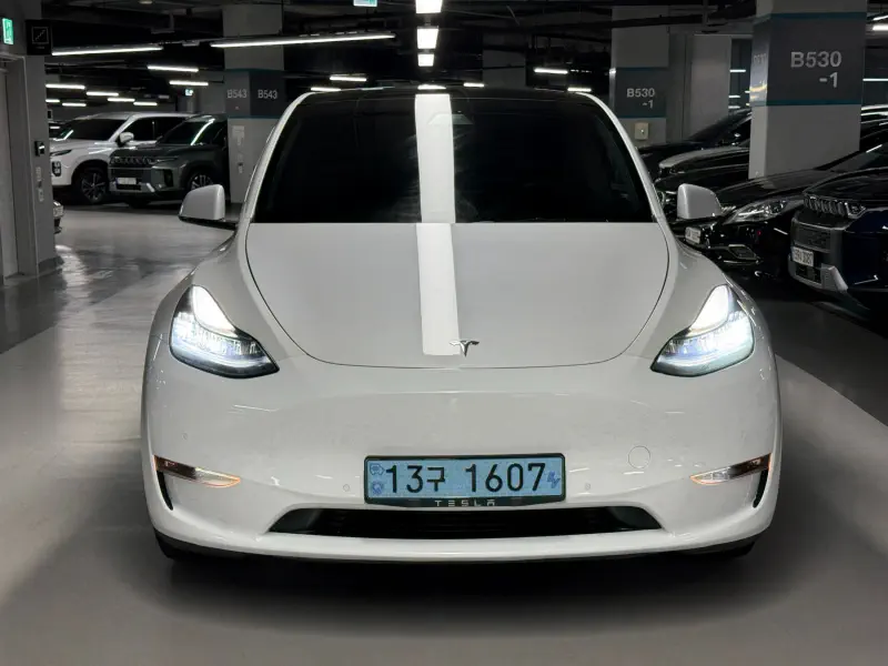 Tesla Model Y — фото