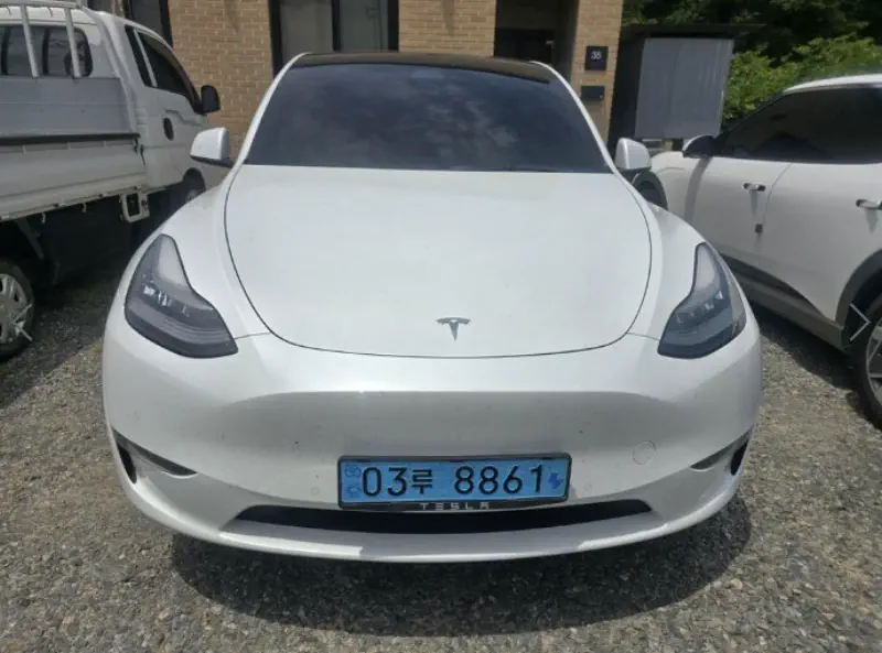 Tesla Model Y — фото