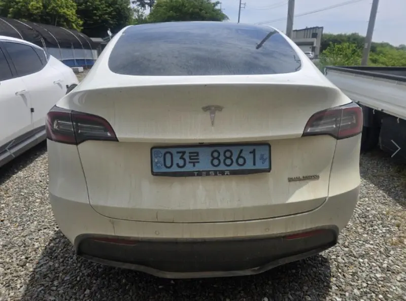 Tesla Model Y — фото 2