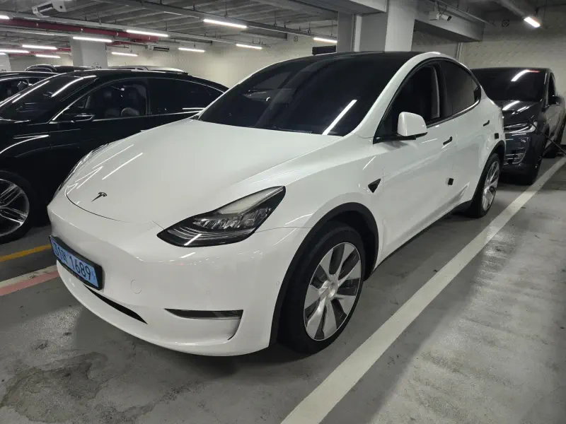 Tesla Model Y — фото