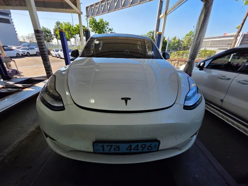 Tesla Model Y — фото