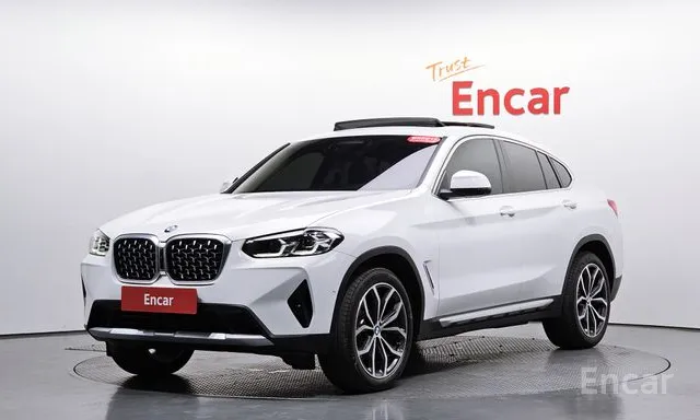 BMW X4 (G02) xDrive20i xLine — фото
