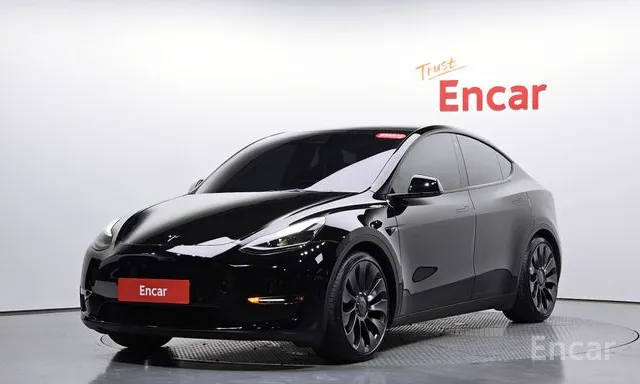 Tesla · Model Y · Performance AWD · 2022 г. — фото