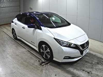 NISSAN LEAF — фото