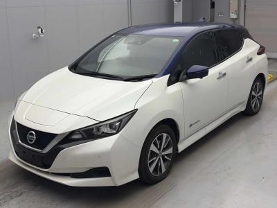 NISSAN LEAF — фото