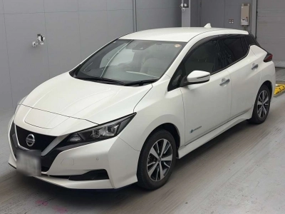 NISSAN LEAF — фото