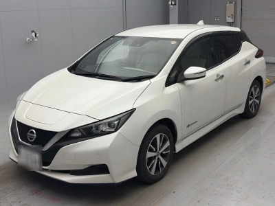 NISSAN LEAF — фото