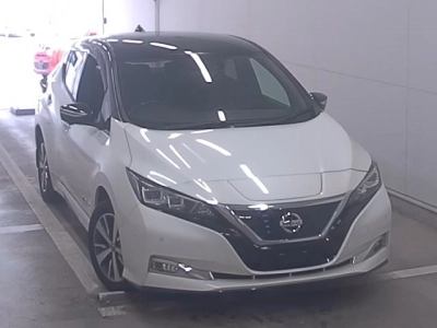 NISSAN LEAF — фото