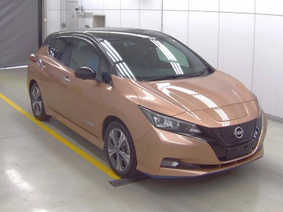 NISSAN LEAF — фото