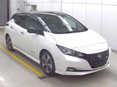 NISSAN LEAF — фото