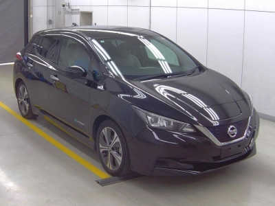 NISSAN LEAF — фото