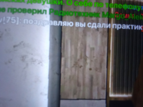 1000001376