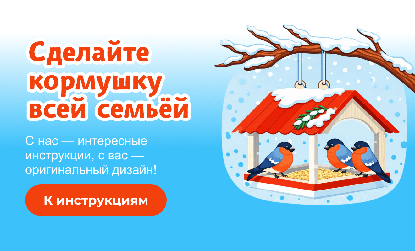 Сделайте кормушку всей семьёй С нас — интересные инструкции, с вас — оригинальный дизайн! К инструкциям