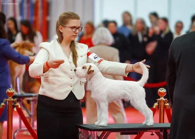 Lucky Strike Top Russell