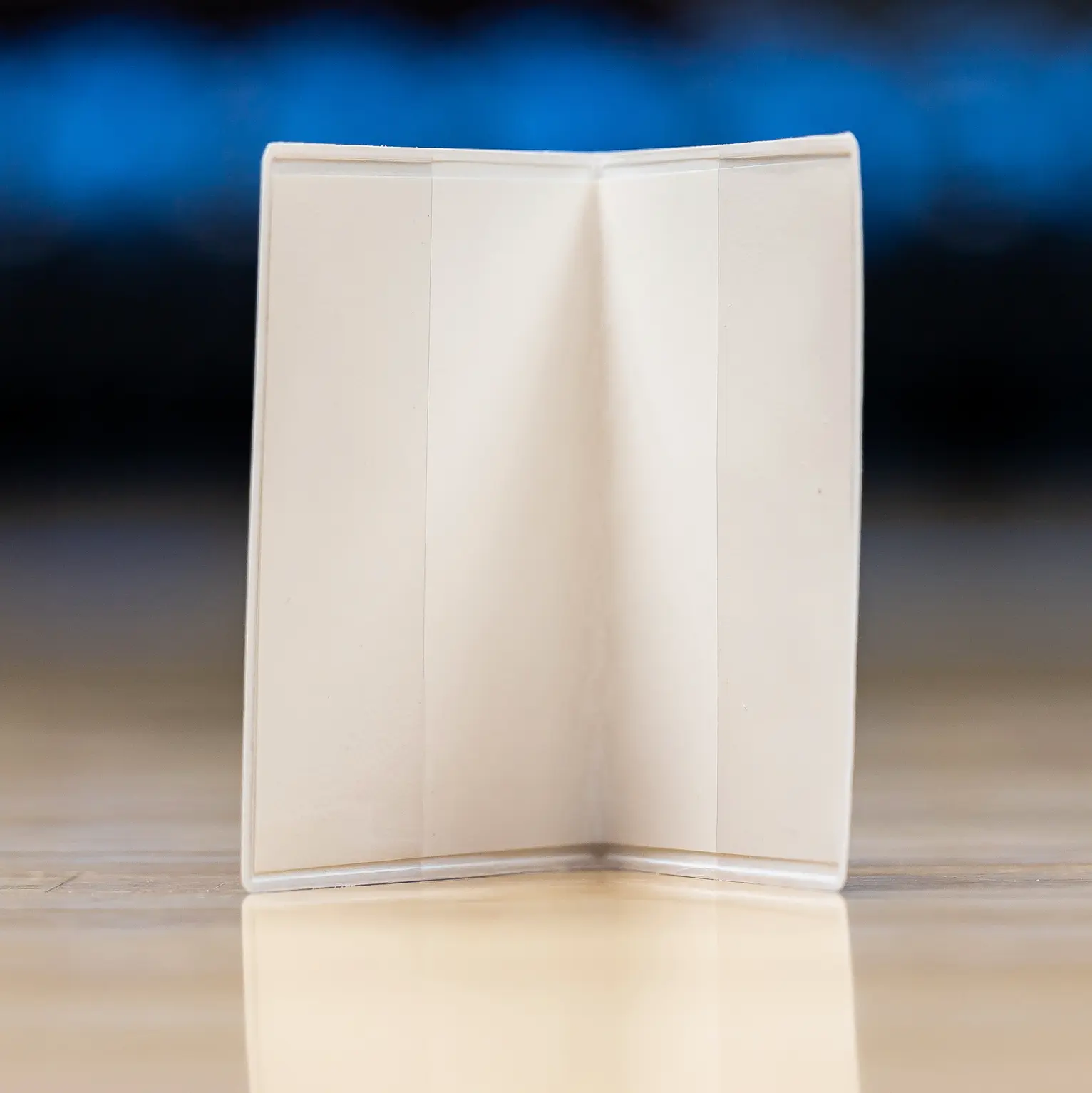 passport-cover-gorod-nad-volnoy-nevoy-4