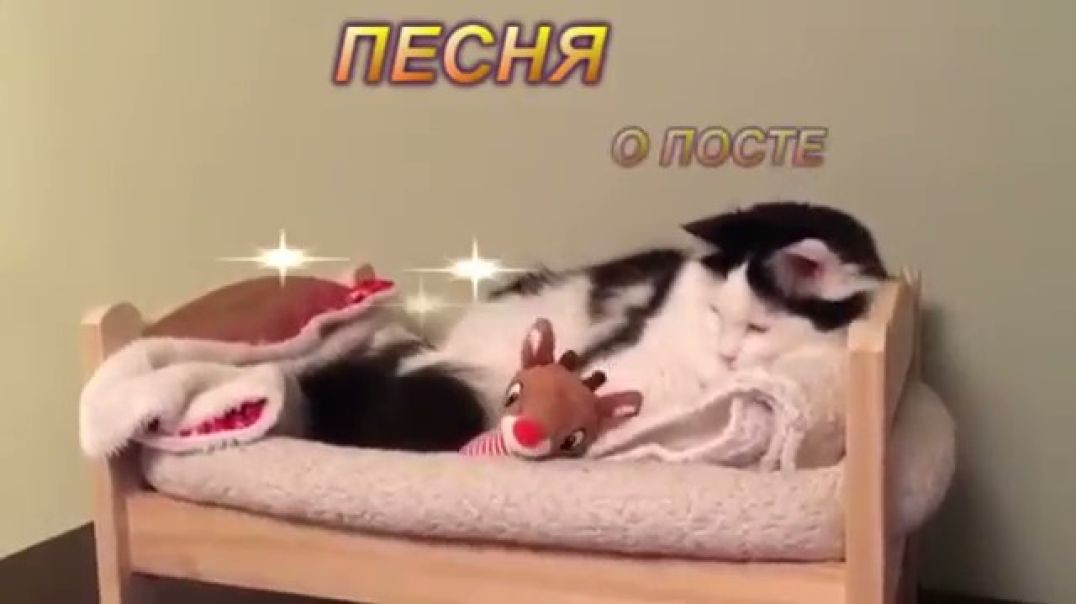 Прикольная песня о посте