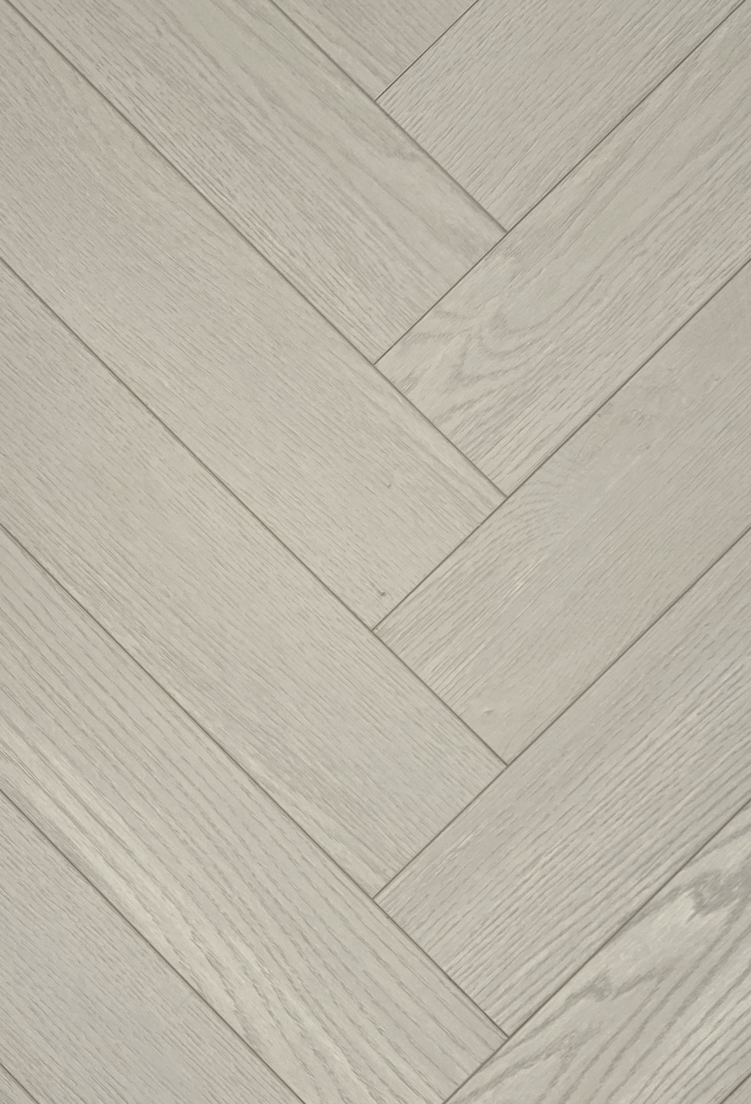 Дуб Бела main image 1