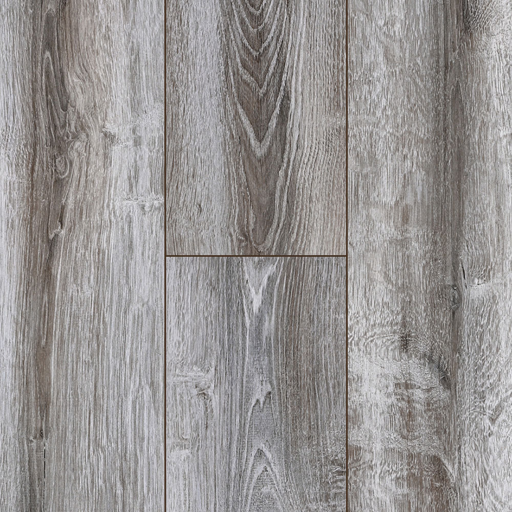 СОСНА АСАХИ