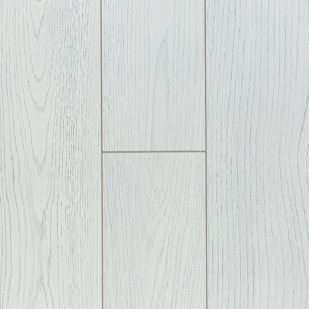 Сосна Дакота